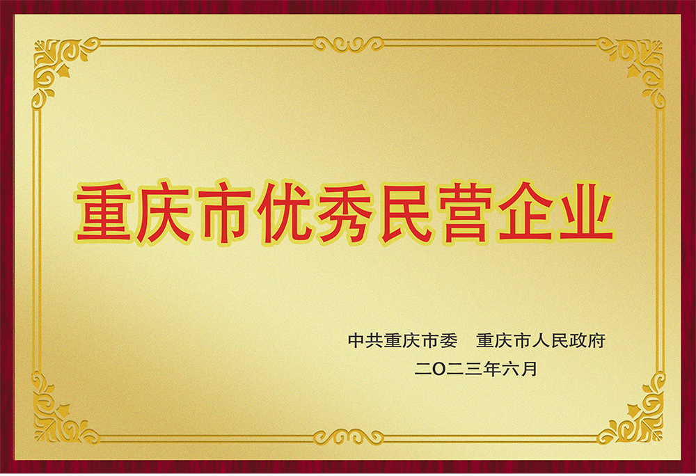 优秀民营企业