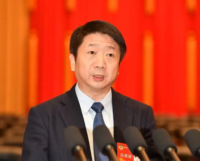 市政协六届二次会议第二次大会上｜市政协委员洪敏大会发言：积极推动民营企业参与西部陆海新通道建设