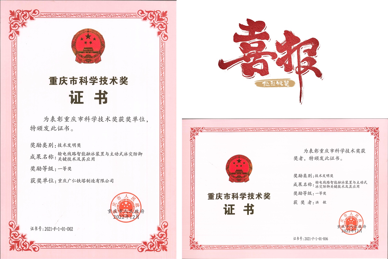 重庆市科学技术奖提名公示
