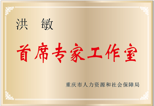 洪敏首席专家工作室