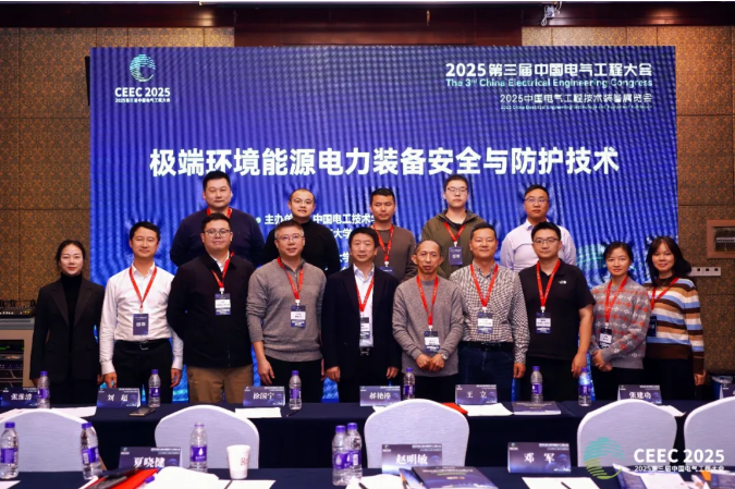 英国上市公司365洪敏董事长出席第三届中国电气工程大会